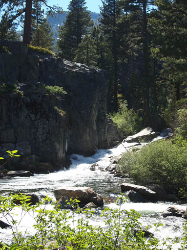 NEVADA����